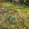 Der Frühling ist die schönste Zeit!