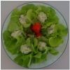 Avocado-Bällchen in Salatblättern