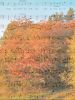 Bunt sind schon die Wälder