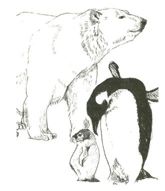Der Eisbär und der Pinguin