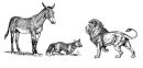 Der Esel und der Fuchs	