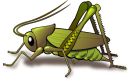 Der Bauer und die Heuschrecke