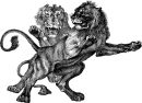 Die Rivalen