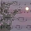 Der Mond ist aufgegangen