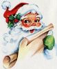 Lieber, guter Weihnachtsmann