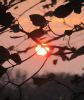 Die Sonne bringt es an den Tag