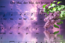 Der Mai, der Mai, der lustige Mai