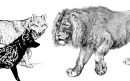 Der Löwe, der Wolf und der Fuchs