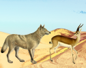 Die Gazelle und der arabische Wolf